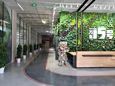 �ⰺ����(�й�)�������޹�˾����